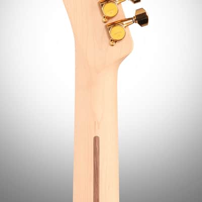 Fender Richie Kotzen Telecaster (Maple), Brown Sunburst image 8