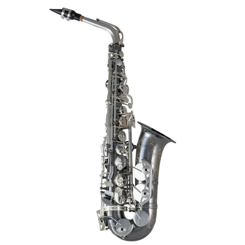 Selmer SAS711B Professional Alto Saxophone image 1