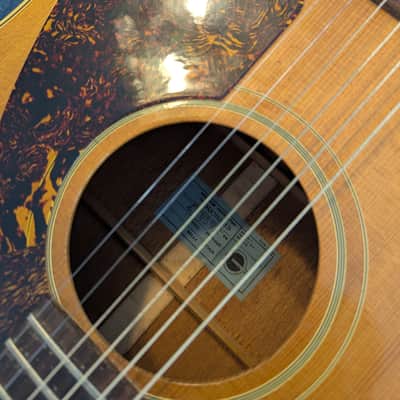 Epiphone FT-79 Texan 1967 - Natural image 13