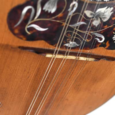 Luigi Fenga Bowlback Mandolin ca. 1920 image 3
