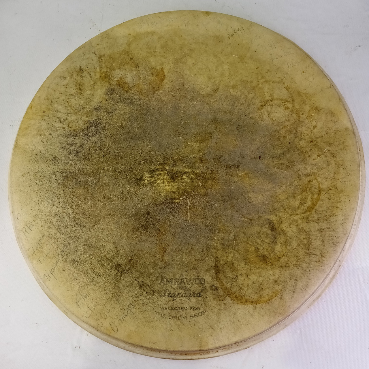 Amrawco 14"Standard"Batter Calf Skin Snare/Tom Head Vintage 40s "The Drum Shop" — main photograph