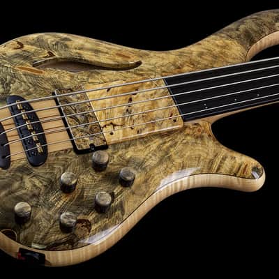 Mayones Patriot MR Fretless BB 5 image 5