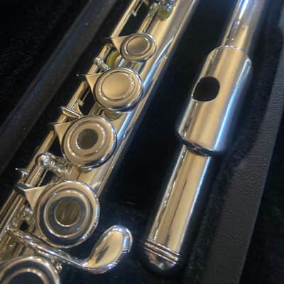 Haynes Giarindinelli GFL 10 mid 2000s - Silver plated image 4
