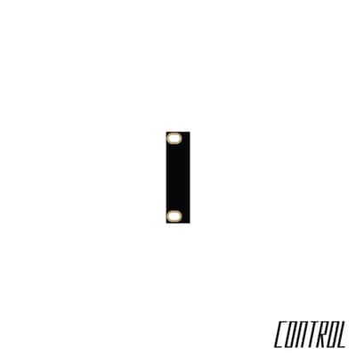Control 2HP - 1U PCB Blank Panels - For Intellijel 1U Cases image 2