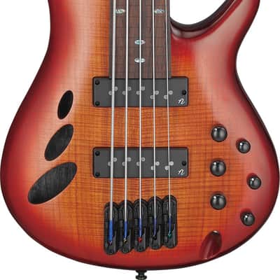 Ibanez SR Bass Workshop 5 String Electric Bass - Fretless - Brown Topaz Burst Low Gloss (SRD905FBTL) image 10