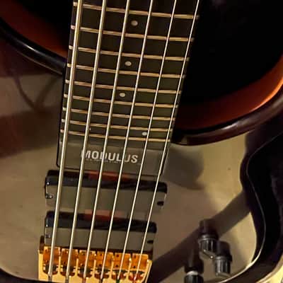 Modulus Quantum Coco Bolo 6 String Bass image 5