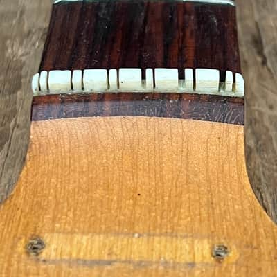 Fender Villager 12 String Neck 1965-68 image 6