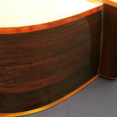 Takamine Elite TW60  Brazilian Rosewood '70 Natural+Hard Case image 16