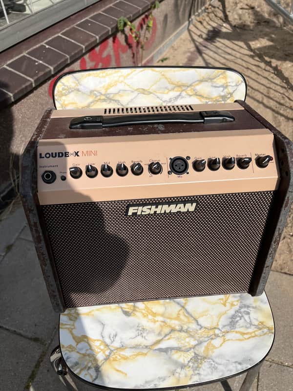 Fishman Loudbox mini image 1