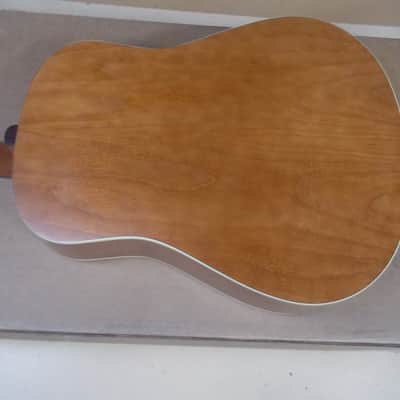 Seagull Entourage Rustic Dreadnought Acoustic Guitar Player!! image 12