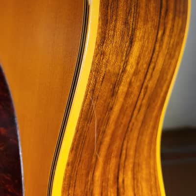 Immagine Sigma (by Martin) DV-4 - 21