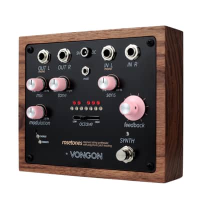 Vongon Rosetones Polyphonic Resonant String Synthesizer image 4