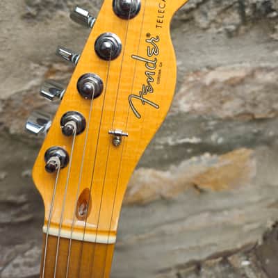 Fender Limited Edition Malaysian Blackwood Telecaster 2017 - Malaysian Blackwood image 5