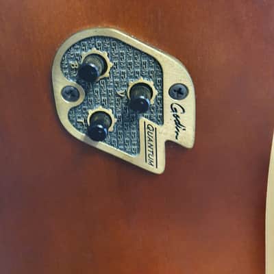 Seagull S12 Plus 2003 Natural Electro Acoustic 12 String Guitar image 6