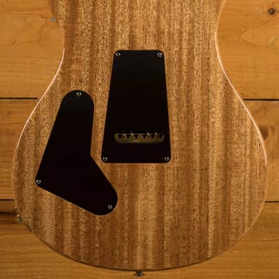 PRS Custom 24 Birds of a Feather LTD - Blood Red image 2
