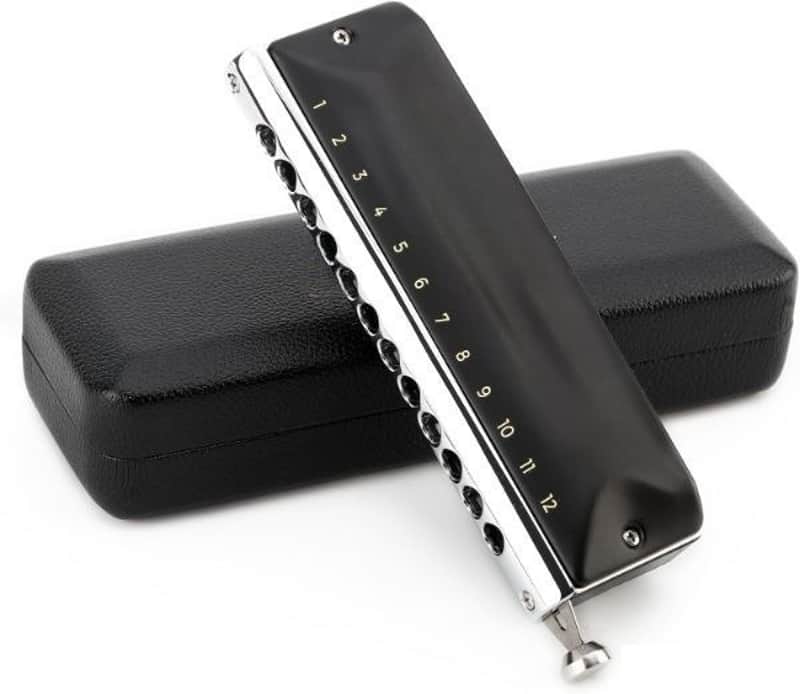 Chromatic Harmonica C Key 12 Holes 48 Tones Chromonica Half | Reverb