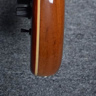 Alembic Dragon Wing 2018 Cocobolo image 5