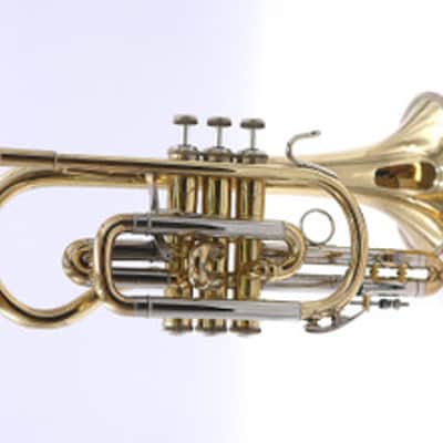 Bach Large Bore Stradivarius 184  Shepherds' Crook Cornet image 2