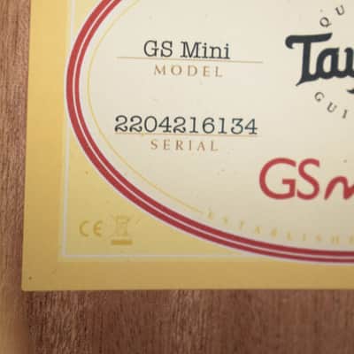 Taylor GS Mini image 10