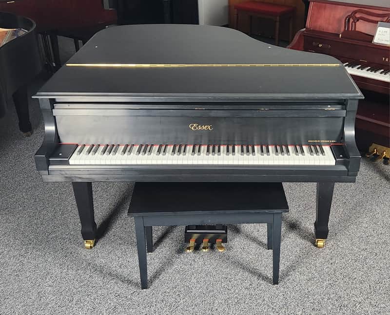 Essex EGP 155 in Satin Ebony 5'1
