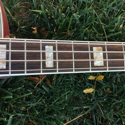 GOYA 1965 VINTAGE PANTHER BASS GUITAR - All Original - Case image 5