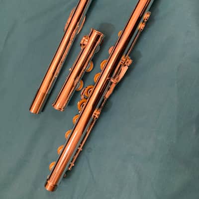 Unbranded-Step Up Student Model Flute-Open Hole, C Foot Split E-Case and Extras! image 8