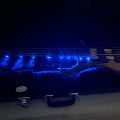 Alembic Signature Deluxe Mark 5 String Bass Guitar Cocobolo image 15