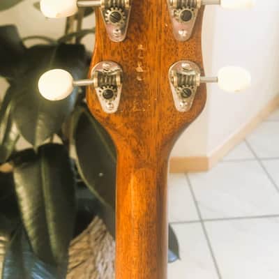 Framus Tenor Banjo Rhthym series, vintage 1963 - brown image 12