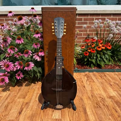 1920s Gibson Junior Style A-Jr Mandolin w/ Gibson HSC image 20