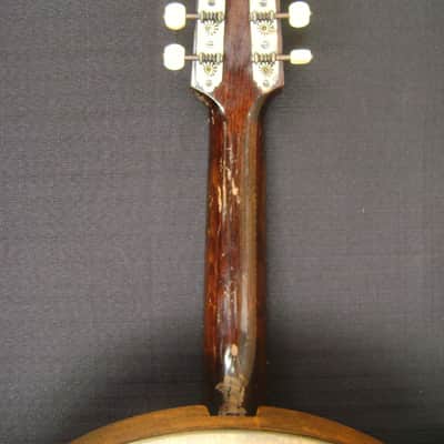RARE Vintage 1920s Melody Major Banjolin (Banjo Mandolin) With Original Case  Natural image 16