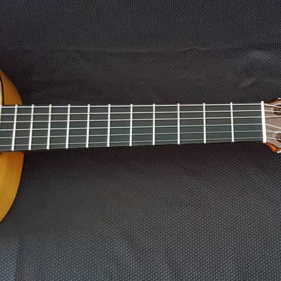 1947 Marcelo Barbero Rare Flamenco Guitar image 14
