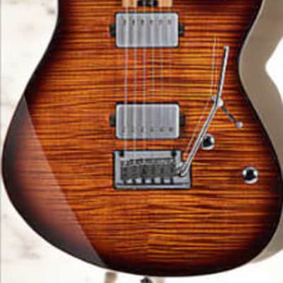Cort G290 FAT II Discover Ultimate Playability: The Cort G290 FAT II with Roasted Maple Neck & Fretboard in Antique Violin Burst image 7
