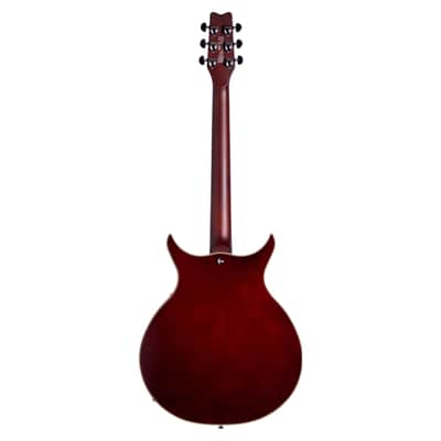 Washburn SH35 Semi-Hollow Electric Guitar-Tobacco Burst *USA Small Business* image 2
