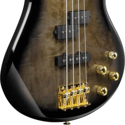 Ibanez Gio SR 4 String Electric Bass - Transparent Pale Black Burst (GSR200PCTPB) image 2