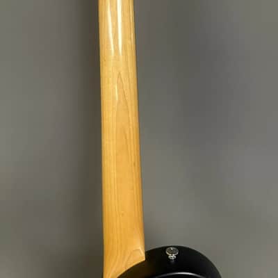 Schecter Diamond Series 2009 image 6