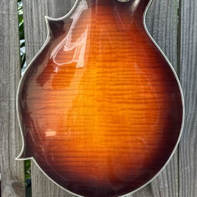 Franzke F-5 Mandolin 2025 Vine Inlay image 7