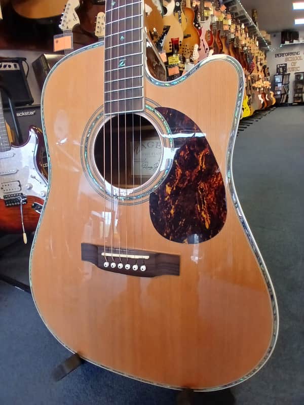 Zager ZAD-80CE/N Acoustic-Electric Guitar w/ Case image 1