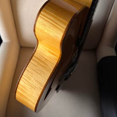 Eastman PG2 Pagelli Archtop 17" image 9