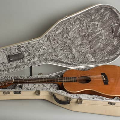 Circle Strings  A-1 10 String Acoustic Flat Top Guitar (2018), ser. #119, original molded white plastic hard shell case. image 10