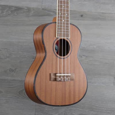 Amahi UK220C  Mahogany Concert Ukulele with Gig Bag image 3