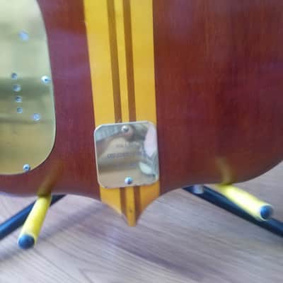 2 guitars. Alembic 12 string and 6 string. Maybe prototypes. image 4