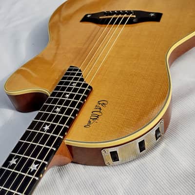Gibson Chet Atkins SST 1993 image 1