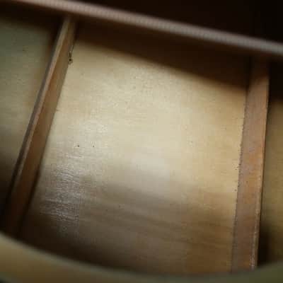 Pignose Dreadnaught Acoustic Guitar  (Natural Gloss) image 4