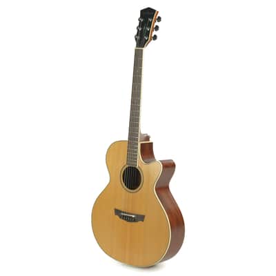 Parkwood Acoustic Owned by Greg Howe image 3