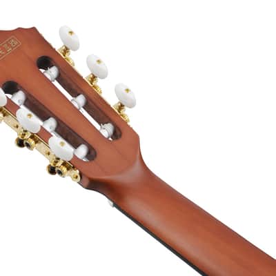 Ibanez FRH10N Thinline Nylon Acoustic Electric Guitar - Rose Gold Metallic Flat (FRH10NRGF) image 3