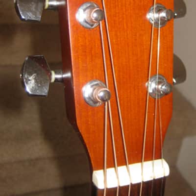 Aria Ariana Electric-Acoustic Dreadnought Guitar w/ Gigbag image 3