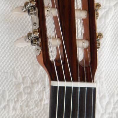 Esteve 3Z classical guitar/ Cedar top / Ziricote back and sides / Made in Spain image 8