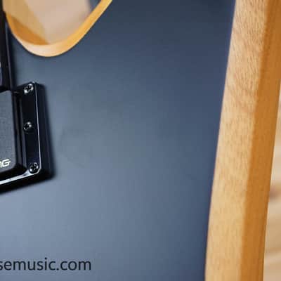 Wylde Audio Blood Eagle - Mahogany Blackout image 14
