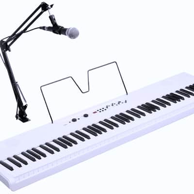 Korg Liano LIVE! image 5