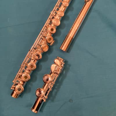 Unbranded-Step Up Student Model Flute-Open Hole, C Foot Split E-Case and Extras! image 4